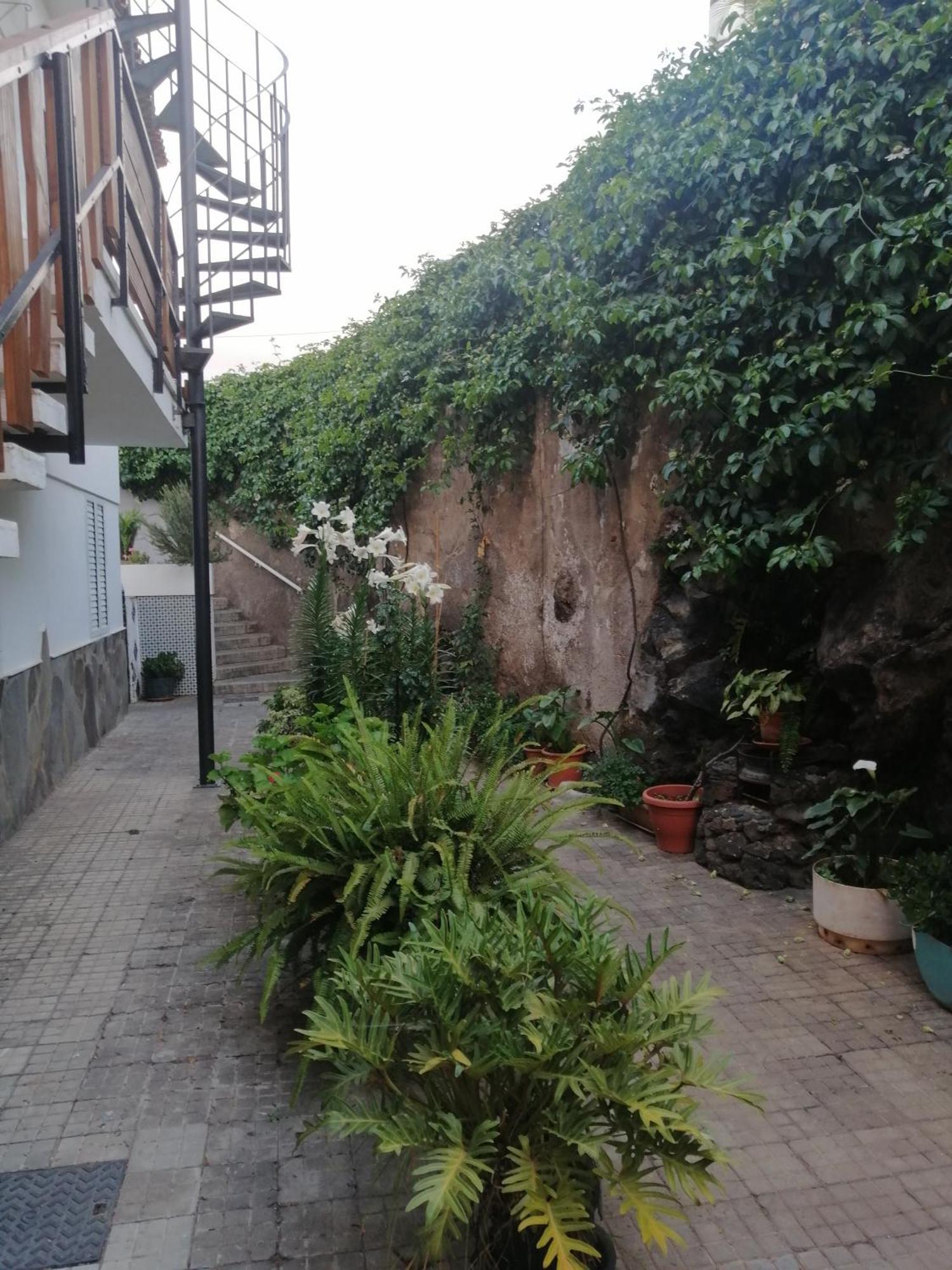 Puerto De La Cruz - Sun House - Holidays - Resort エクステリア 写真